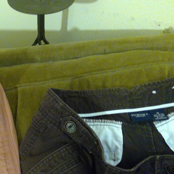 Old Navy Pixie Pants and Sonoma Capris Size 12 - Picture 4 of 8